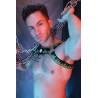 Breedwell Harnais Equalizer Noir-Vert neon